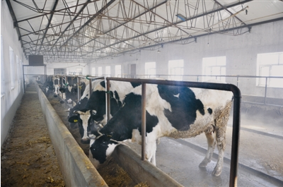 黑龍江齊齊哈爾富?？h光明乳業(yè) 一拖三加一 恒壓供水設(shè)備